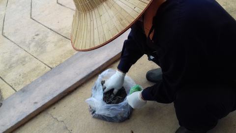 Khoa Kiểm soát nhiễm khuẩn - Bệnh viện đa khoa tỉnh Quảng Trị thực hiện chiến dịch diệt chuột