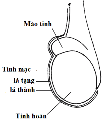 image 20200824144655 1