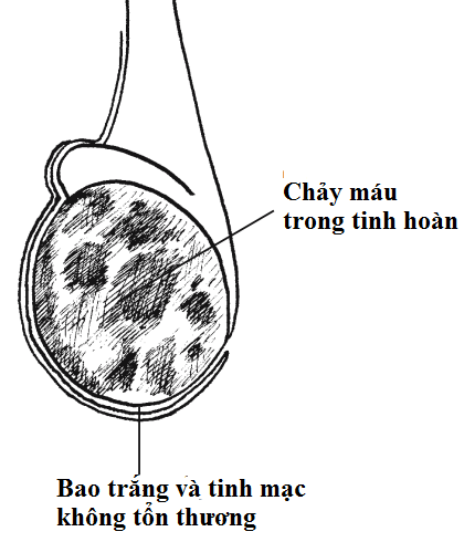 image 20200824144655 2