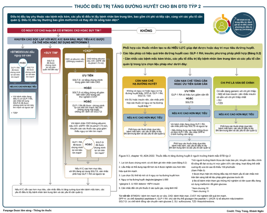 Cập nhật chẩn đoán và điều trị đái tháo đường ở người lớn tuổi