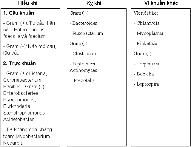 Nhiễm trùng do liên cầu
