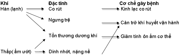 Sơ đồ minh họa cơ chế gây bệnh của các khí chủ yếu vào mùa mưa lạnh