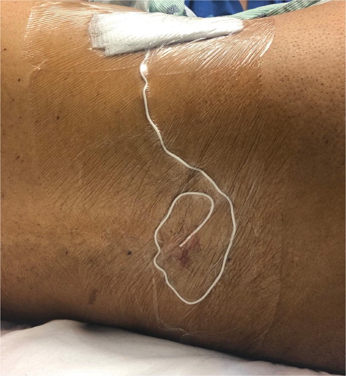 470329 1 En 29 Fig4 HTML