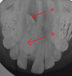 image 20231218155055 24 250x263